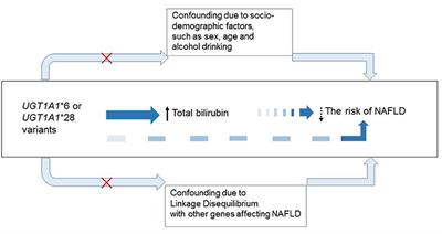 Genetically Regulated Bilirubin and Risk of Non-alcoholic Fatty Liver Disease: A Mendelian Randomization Study